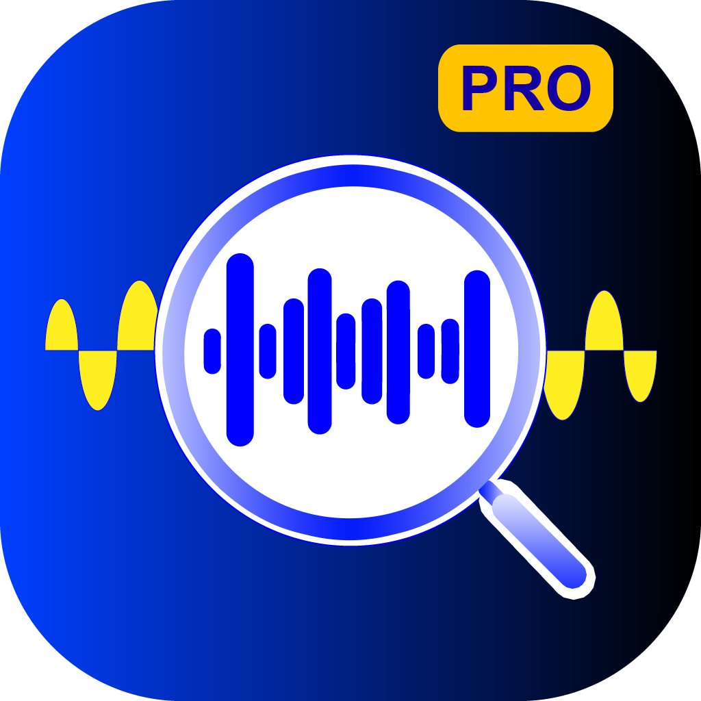 AudioFinderPro